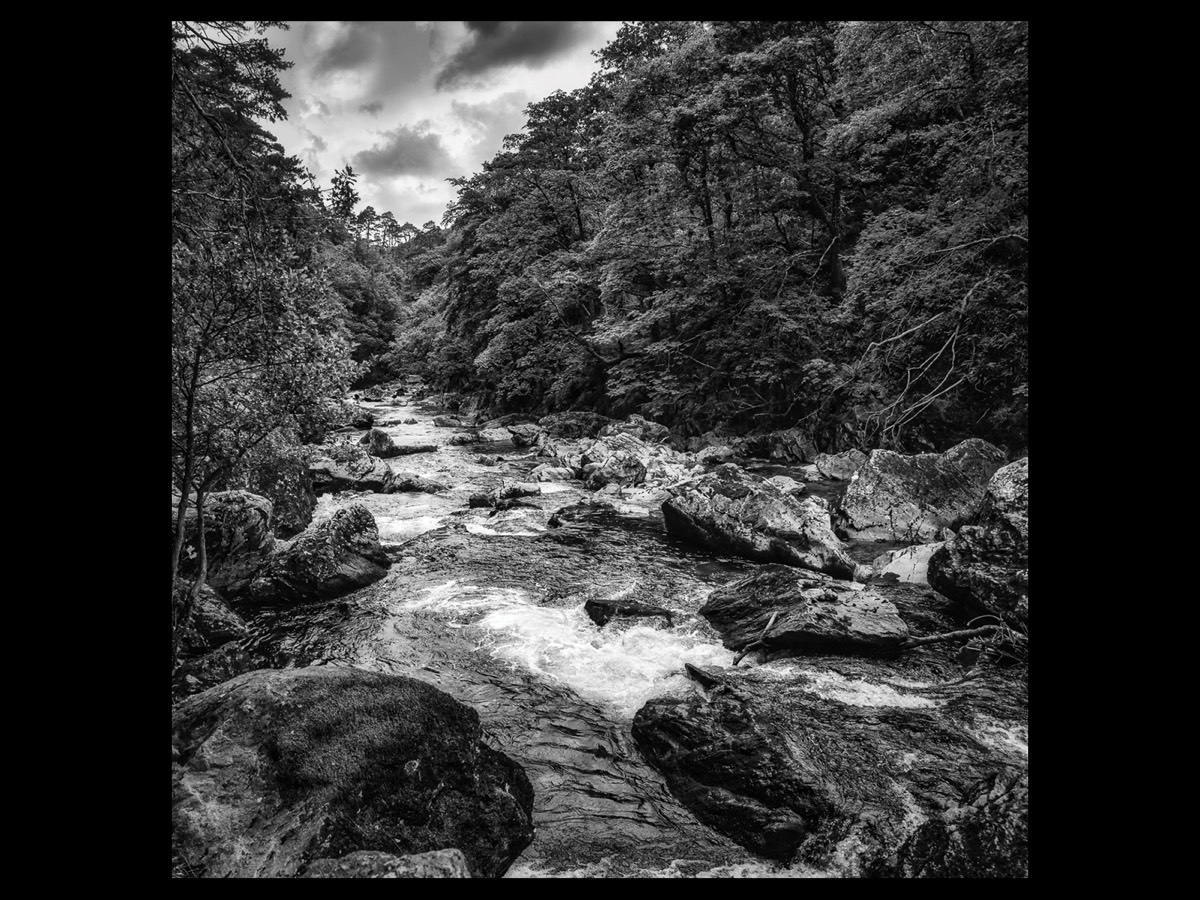 Stacks Image 233